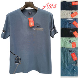 Футболка чоловіча ( 2XL- 5XL) N96399