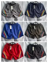 Шорти чоловічі (XL,2XL,3XL,4XL,5XL) P101096 Шорти чоловічі (XL,2XL,3XL,4XL,5XL) P101096