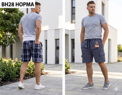 Шорти чоловічі (XL,2XL,3XL,4XL,5XL) P101389
