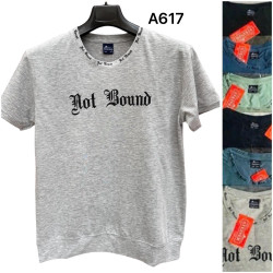 Футболка чоловіча ( 2XL- 5XL) N96402