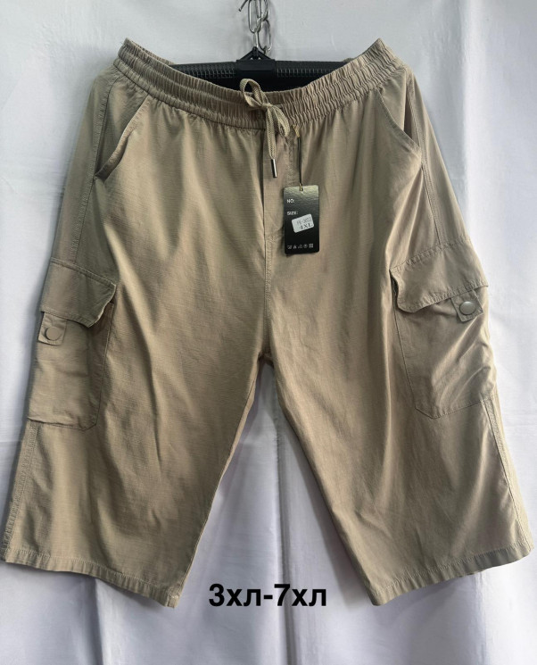 Шорти чоловічі БАТАЛ (3XL,4XL,5XL,6XL,7XL) P100231