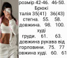 Спортивний костюм флісовий жіночий ( 42-44, 46-48 р. ) N94240