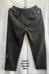 Спортивні штани чоловічі (хутро) НАПІВБАТАЛ (2XL,3XL,4XL,5XL) A105272