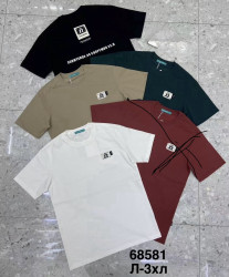 Футболка чоловіча (L,XL,2XL,3XL) P96379