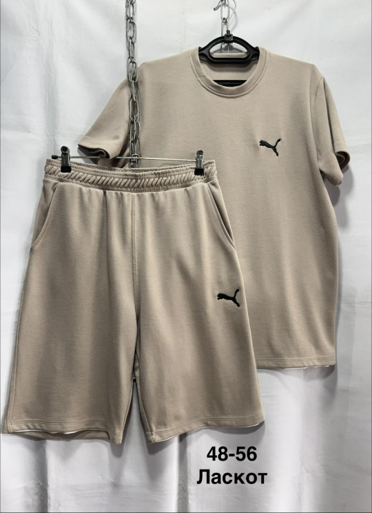 Спортивний костюм чоловічий (48,50,52,54,56 р.) P100235