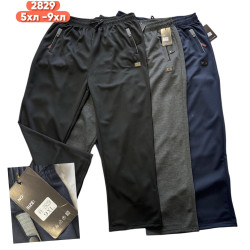 Спортивні штани чоловічі  Батал ( 5XL -  9XL) N96893