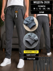 Спортивні штани чоловічі манжет  (M, L, XL, 2XL, 3XL) N100305