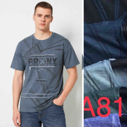Футболка чоловіча ( XL - 5XL)  N99695