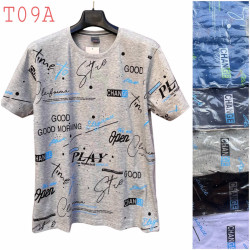 Футболка чоловіча  ( XL- 3XL) N96428