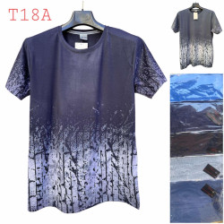 Футболка чоловіча  ( XL- 3XL) N96429