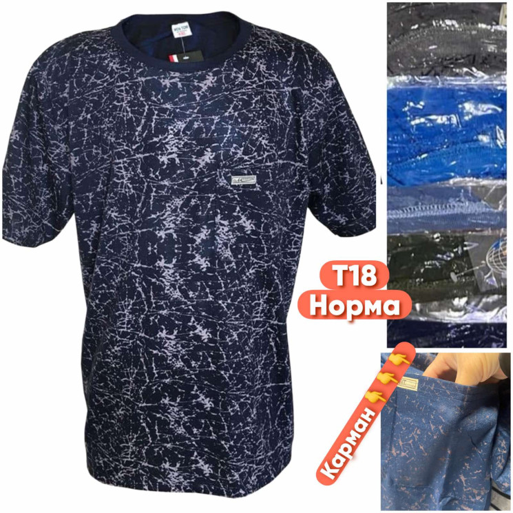 Футболка чоловіча ( XL - 4XL) N96588