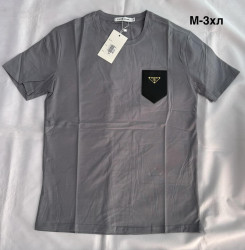 Футболка чоловіча (M,L,XL,2XL,3XL) P102329