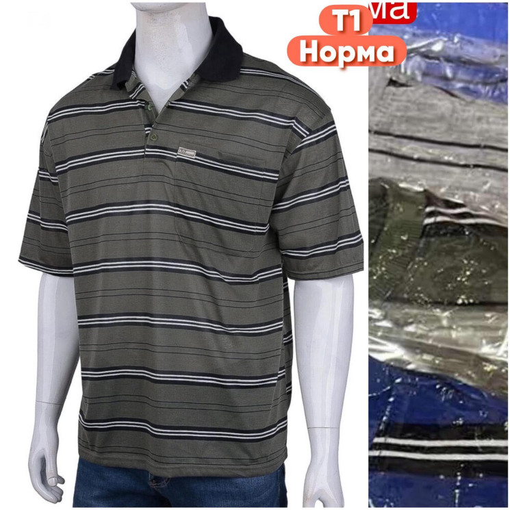 Футболка чоловіча ( XL - 4XL) N96589