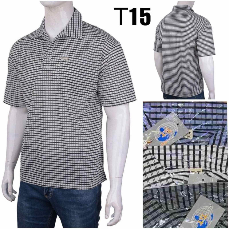 Футболка чоловіча ( XL - 4XL) N96591