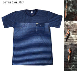Футболка чоловіча  ( 4XL, 5XL, 6XL, 7XL, 8XL) N96434