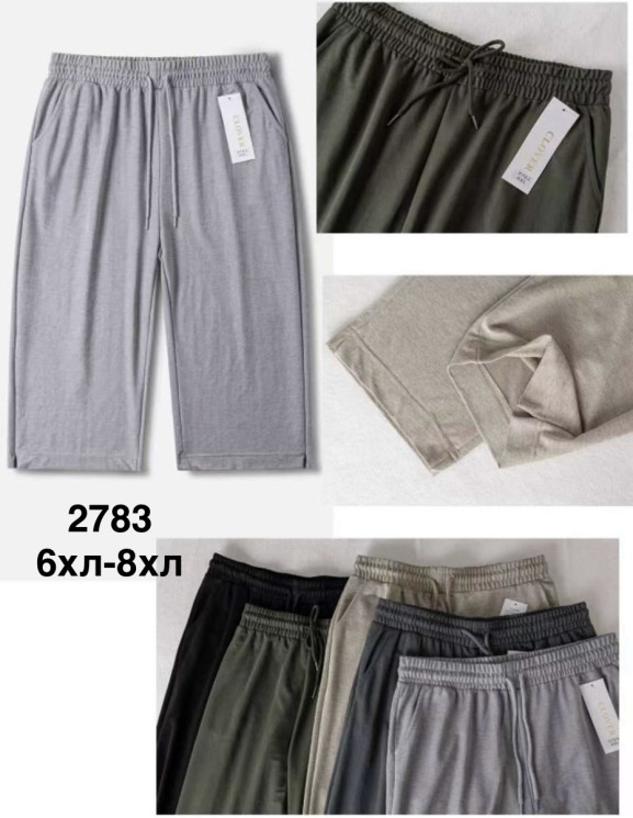 Бриджі жіночі (6XL,7XL,8XL) P100252