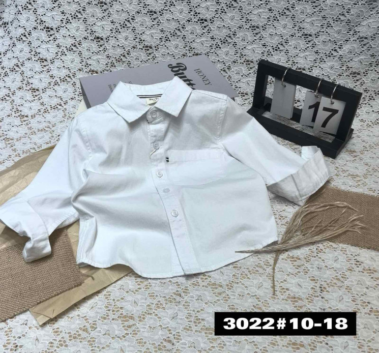 Сорочка дитяча (90-130 р.) P102654