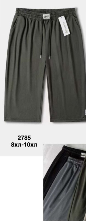 Бриджі жіночі БАТАЛ (8XL,9XL,10XL) P100253