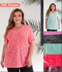 Туніка жіноча  ( 2XL - 6XL ) N98999