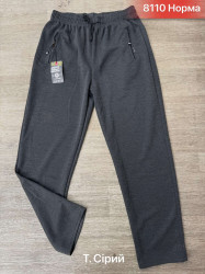 Спортивні штани чоловічі  ( M - 3XL ) N97511