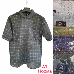 Футболка чоловіча ( XL- 5XL) N97687