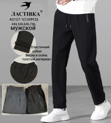 Спортивні штани чоловічі ( 4XL-5XL, 6XL-7XL)  N100081