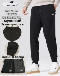 Спортивні чоловічі штани (4XL,5XL,6XL,7XL) P102855