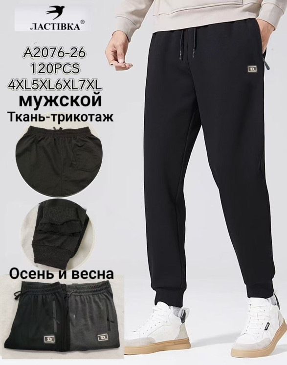 Спортивні чоловічі штани (4XL,5XL,6XL,7XL) P102855