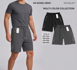 Шорти чоловічі (2XL,3XL,4XL,5XL,6XL) P97599