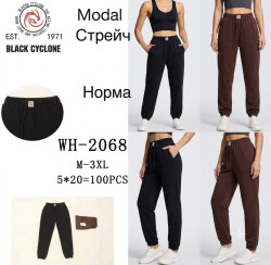 Спортивні штани жіночі (M,L,XL,2XL,3XL) P102858
