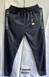 Спортивні штани чоловічі (M,L,XL,2XL,3XL) P96352
