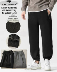 Спортивні штани чоловічі манжет ( 4XL-5XL, 6XL-7XL)  N100084