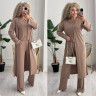 Костюм трійка (Розмір: S-M (42-44), L-XL (46-48), 2XL-3XL (50-52), 3XL-4XL (52-54)) P001247