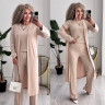 Костюм трійка (Розмір: S-M (42-44), L-XL (46-48), 2XL-3XL (50-52), 3XL-4XL (52-54)) P001247