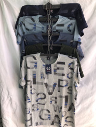 Футболка чоловіча ( XL - 5XL ) N97236