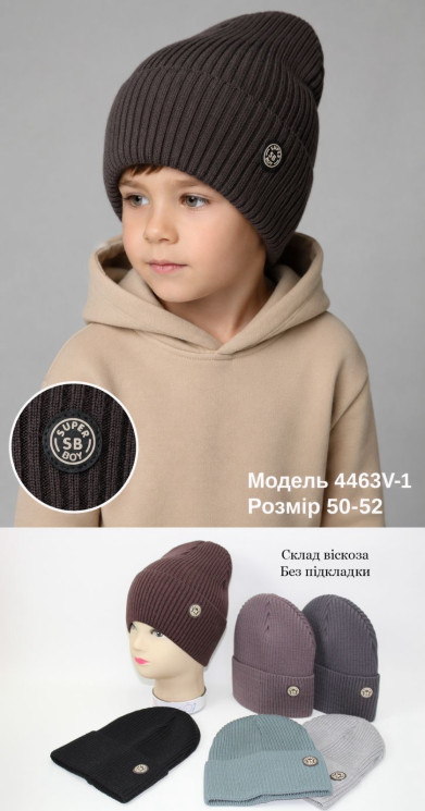 Шапка дитяча (50-52 см) A103622