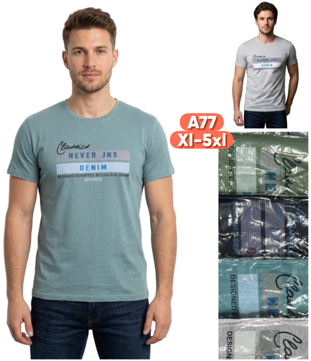Футболка чоловіча ( XL - 5XL ) N98541