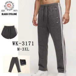 Спортивні штани чоловічі  ( М, L, ХL, 2XL, 3XL)  N100088