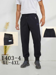 Спортивні штани чоловічі (XL,2XL,3XL,4XL) P94536