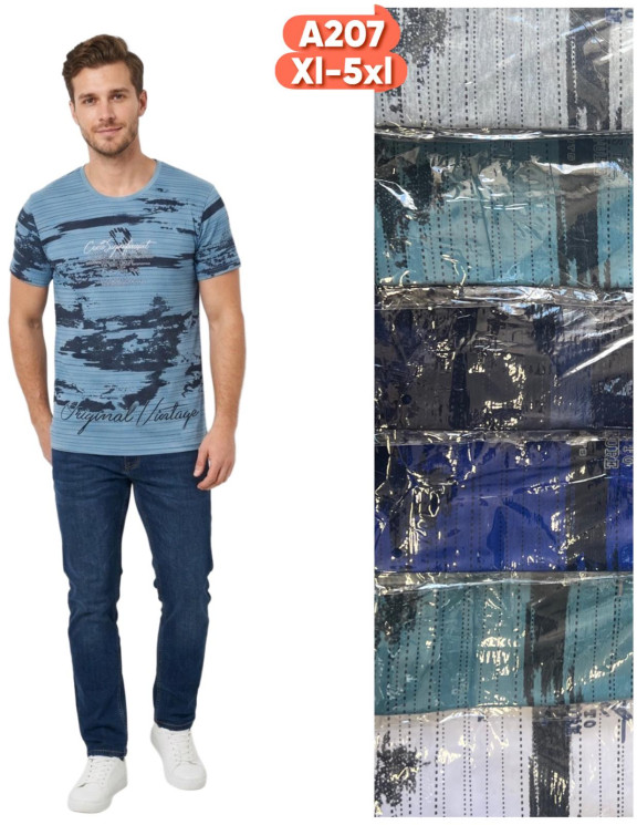 Футболка чоловіча ( XL - 5XL ) N98542
