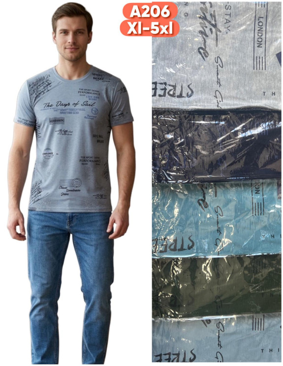 Футболка чоловіча ( XL - 5XL ) N98543