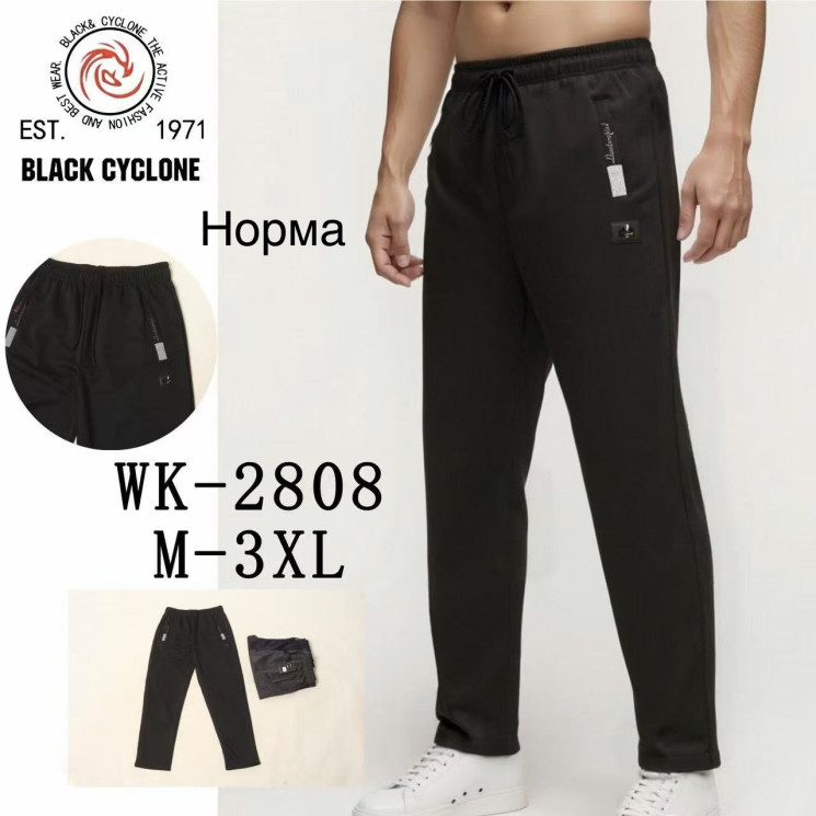 Спортивні штани чоловічі  ( М, L, ХL, 2XL, 3XL)  N100090