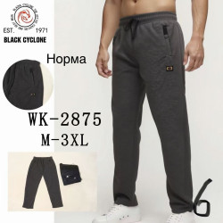 Спортивні штани чоловічі  ( М, L, ХL, 2XL, 3XL)  N100091
