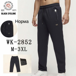 Спортивні штани чоловічі  ( М, L, ХL, 2XL, 3XL)  N100092