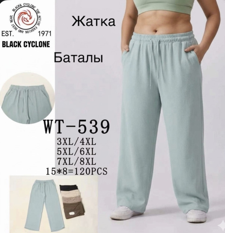 Штани жіночі БАТАЛ (3XL-4XL, 5XL-6XL, 7XL-8XL) P100144