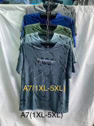 Футболка чоловіча ( XL - 5XL ) N98019