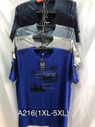 Футболка чоловіча ( XL - 5XL ) N98021