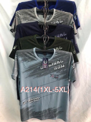 Футболка чоловіча ( XL - 5XL ) N98023