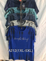 Футболка чоловіча ( XL - 5XL ) N98024