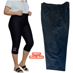 Бріджі жіночі  ( 3XL - 8XL ) N97279